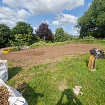 Bamboo Removal Cardigan Ceredigion