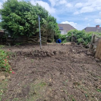 Bamboo Removal in Caerphilly