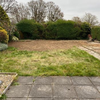 Bamboo Removal in Llavanches